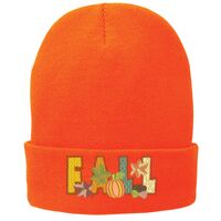 Fleece Lined Knit Cap Thumbnail