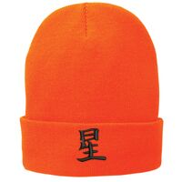 Fleece Lined Knit Cap Thumbnail