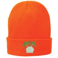 Fleece Lined Knit Cap Thumbnail