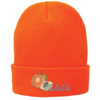 Fleece Lined Knit Cap Thumbnail
