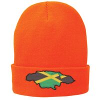 Fleece Lined Knit Cap Thumbnail