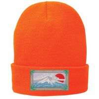 Fleece Lined Knit Cap Thumbnail