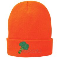 Fleece Lined Knit Cap Thumbnail